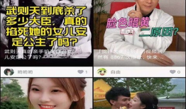 午夜刺激视频,揭秘刺激视频背后的秘密世界